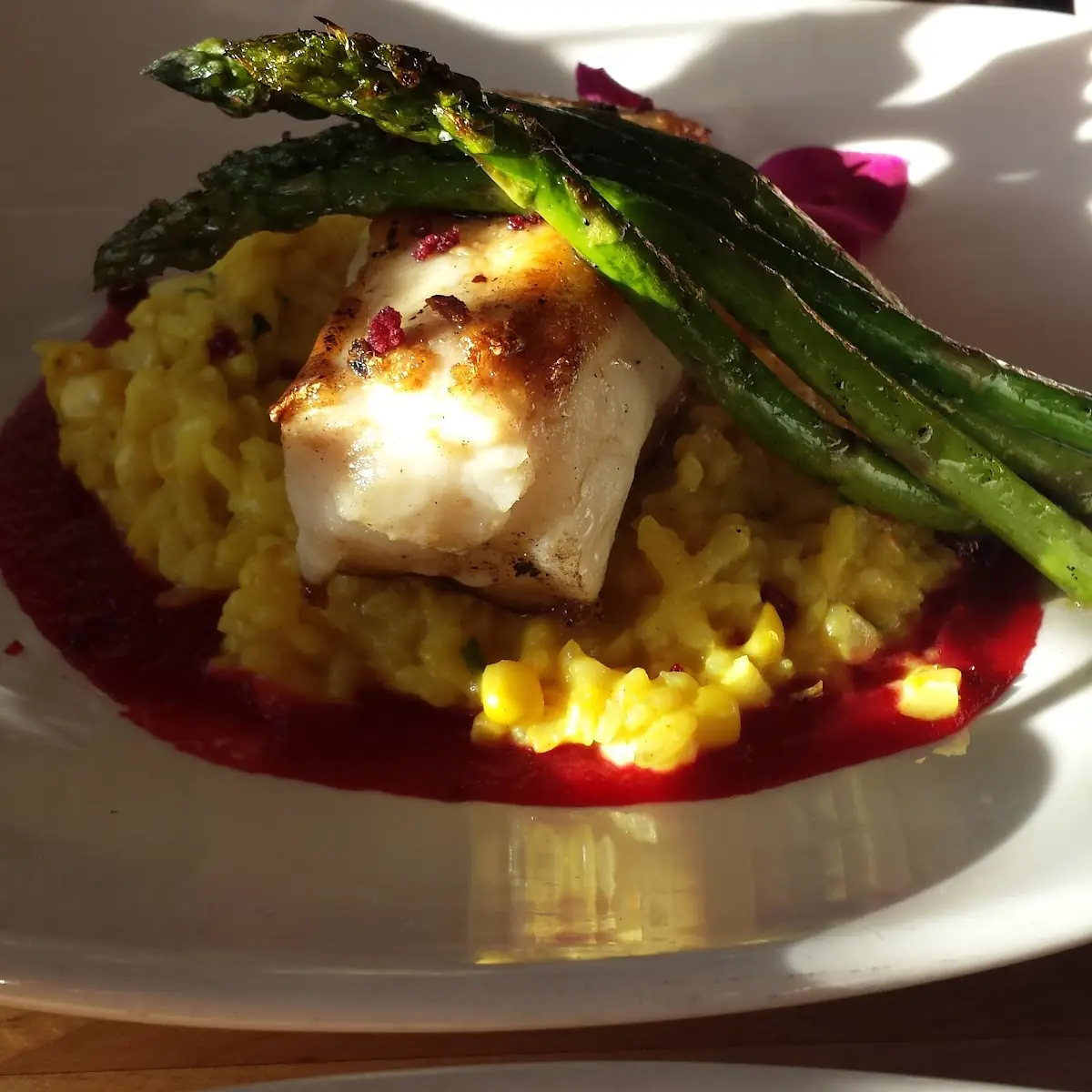 Pan Seared Sea Bass