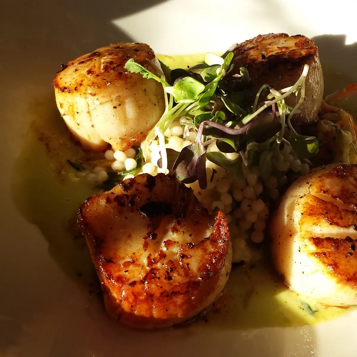 Seared Stonington Sea Scallops