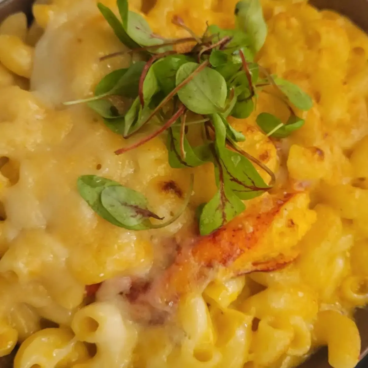 Lobster Mac & Cheese