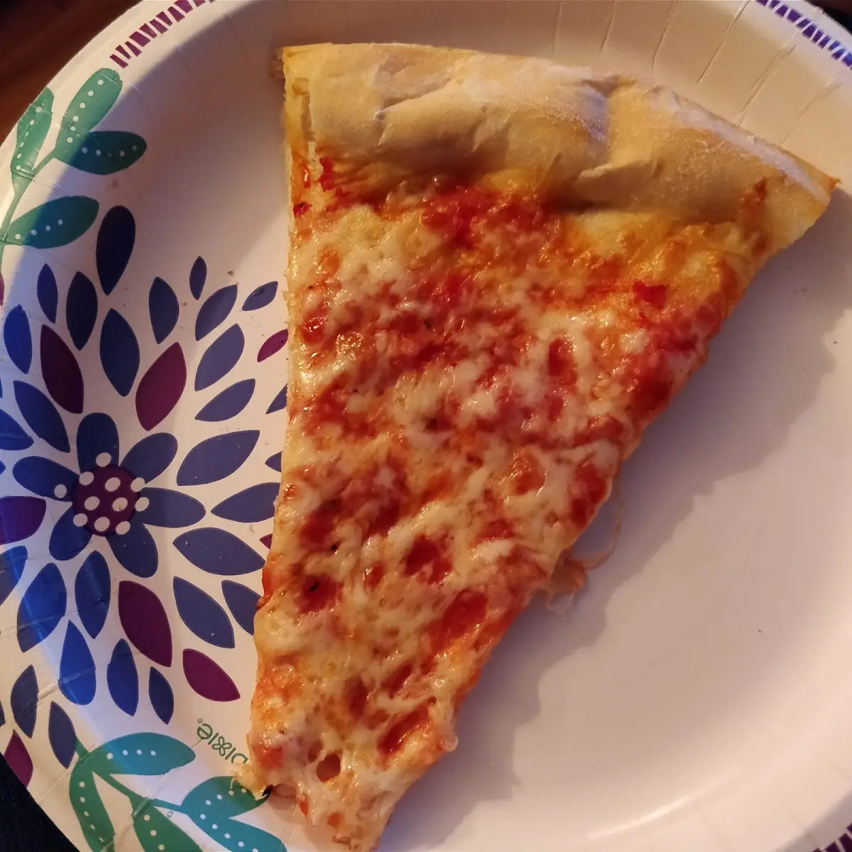 Plain Slice of Cheese Pizza