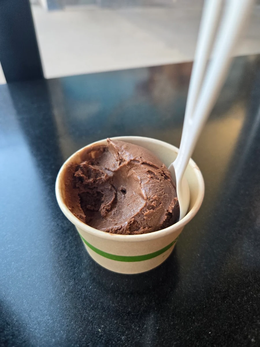 Vegan Chocolate Ice Cream