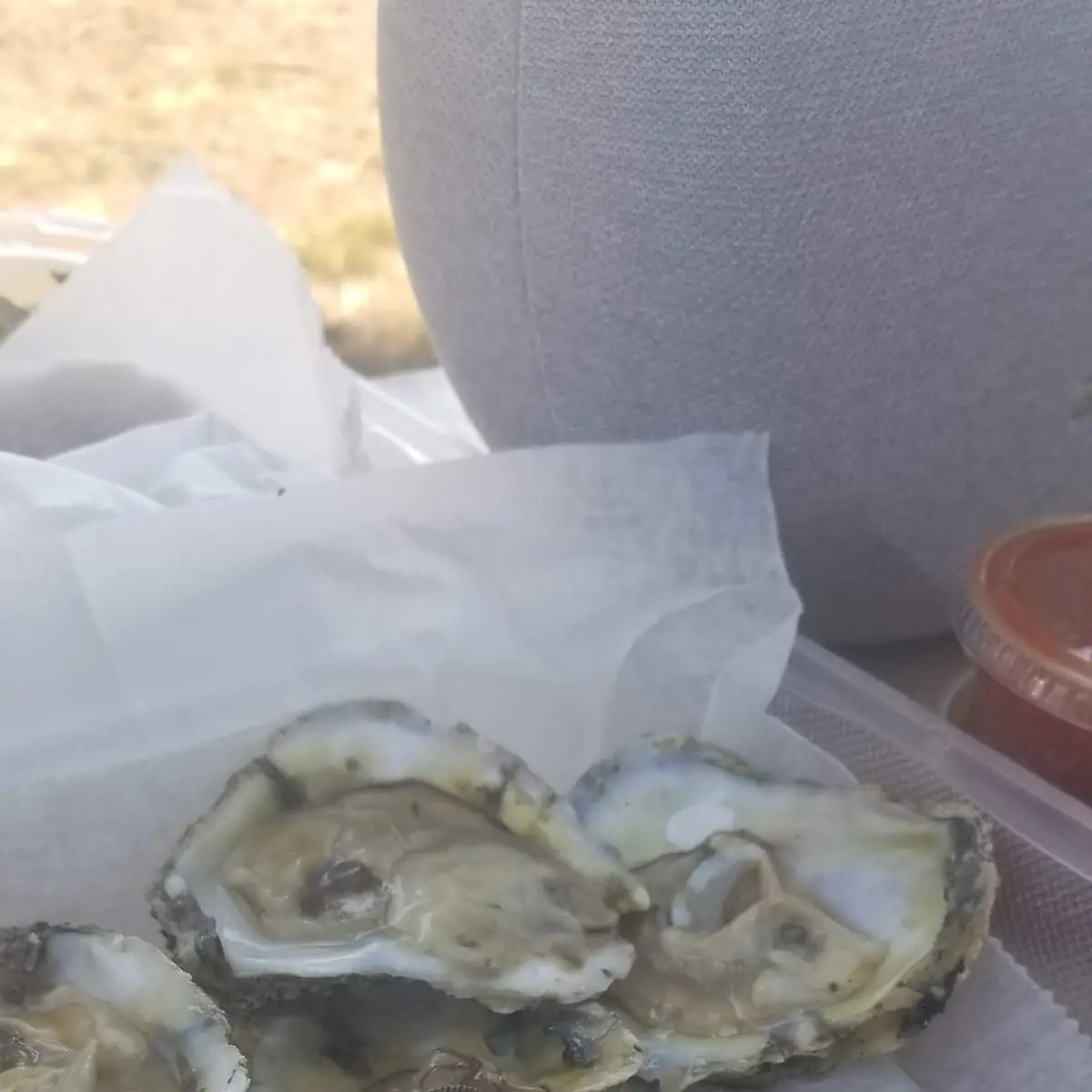 Oysters on the Half Shell