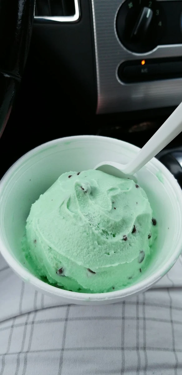 Mint Chocolate Chip Ice Cream