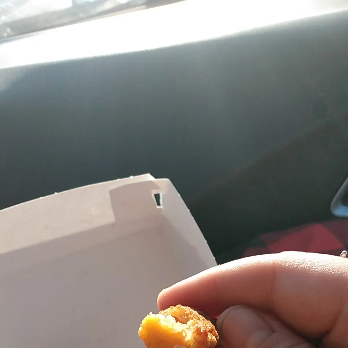 Cheese Sticks
