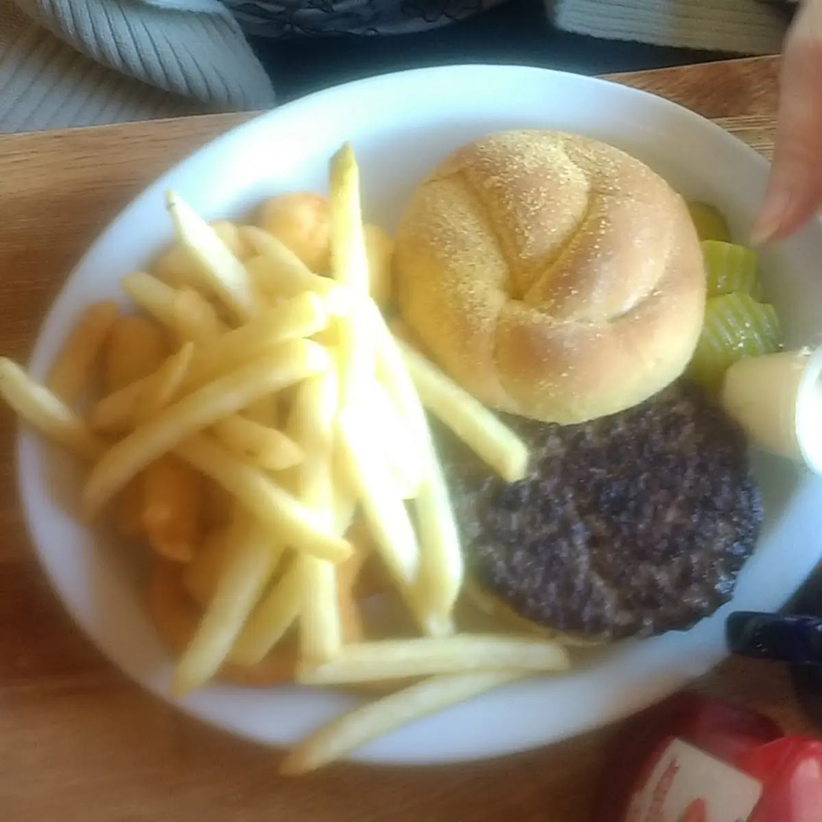 Burger and Fries