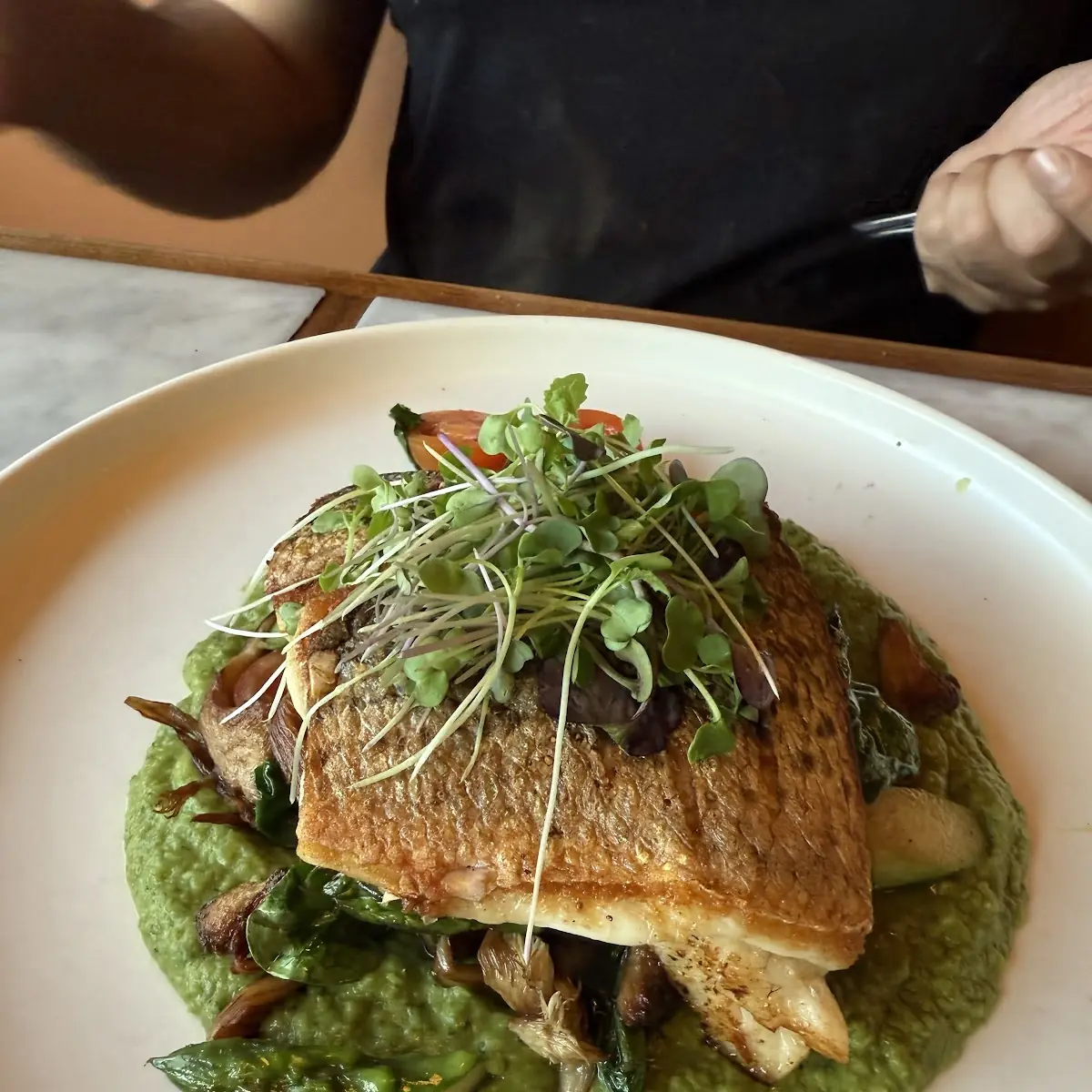 Pan Seared Snapper
