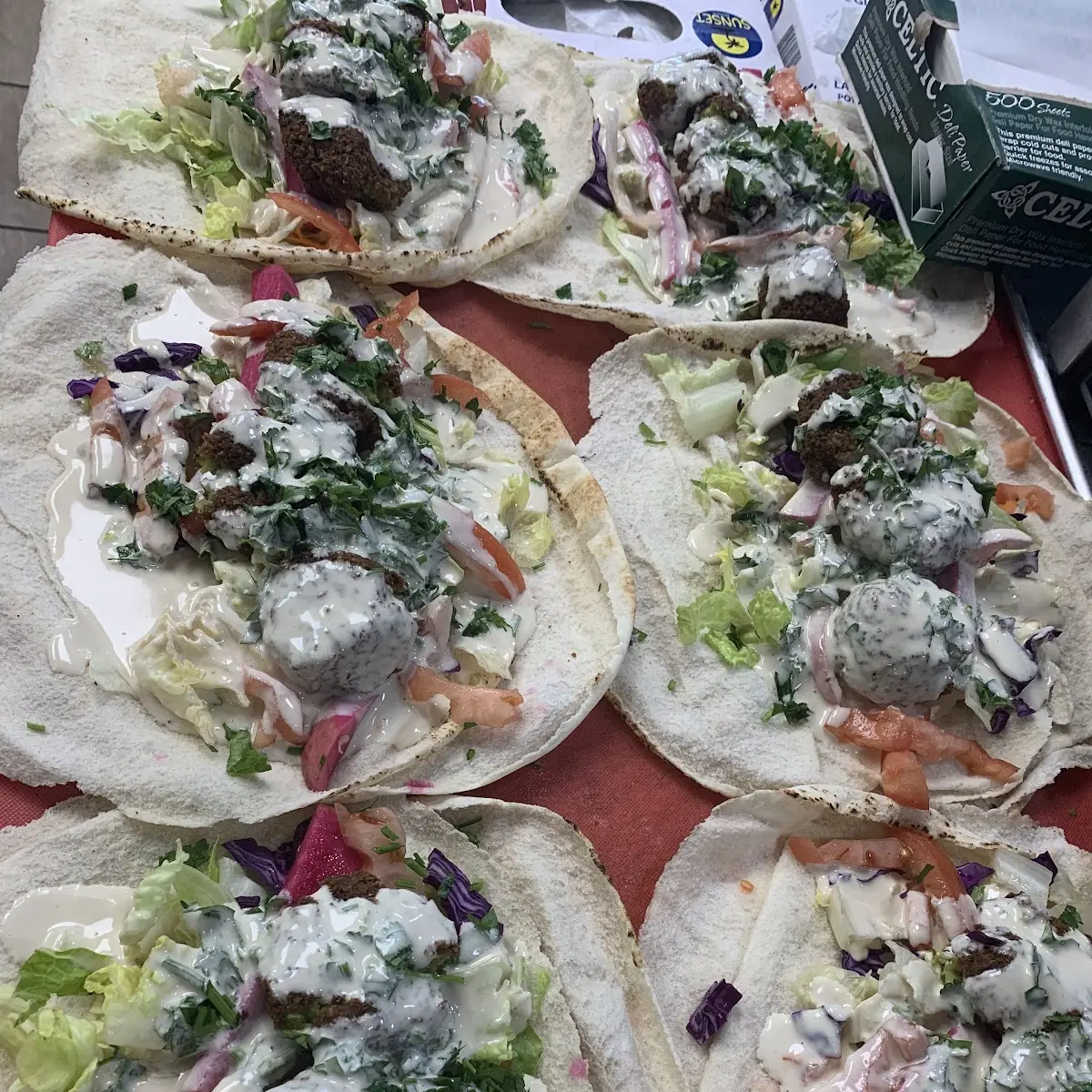 Falafel Sandwich