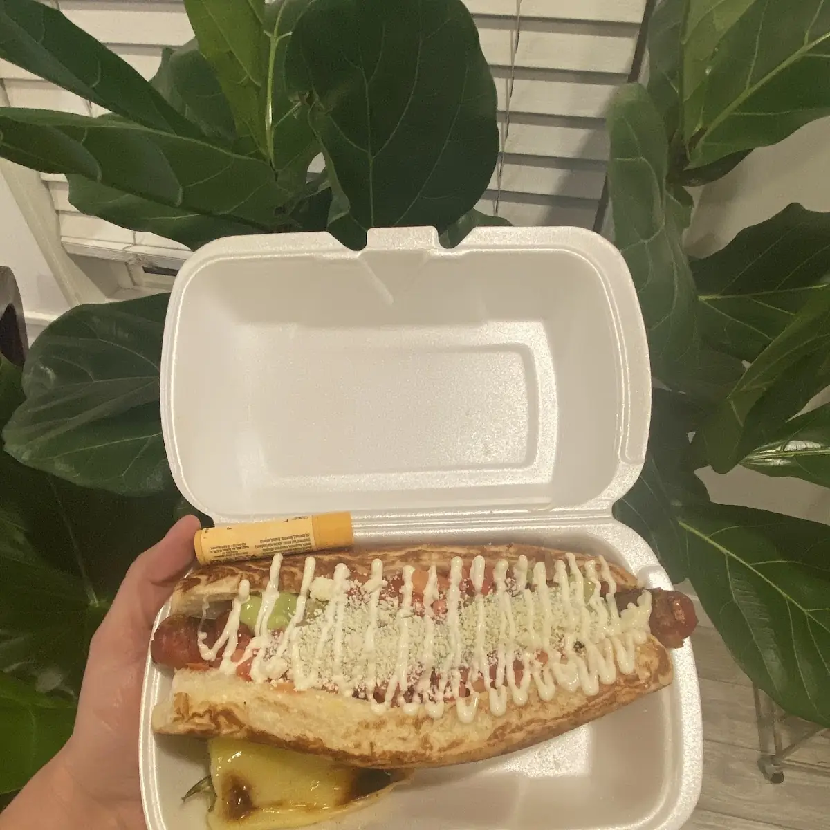 Sonoran Hot Dog