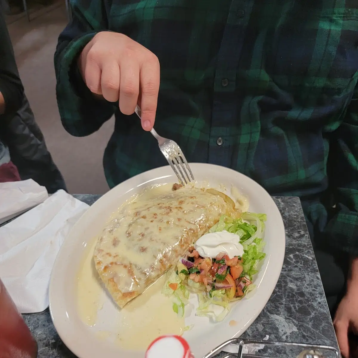 Steak Quesadilla