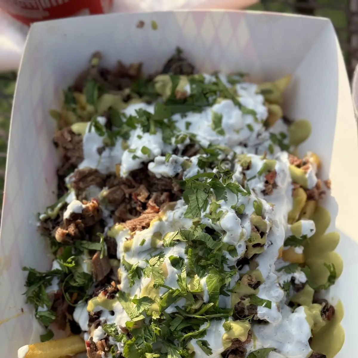 Carne Asada Fries