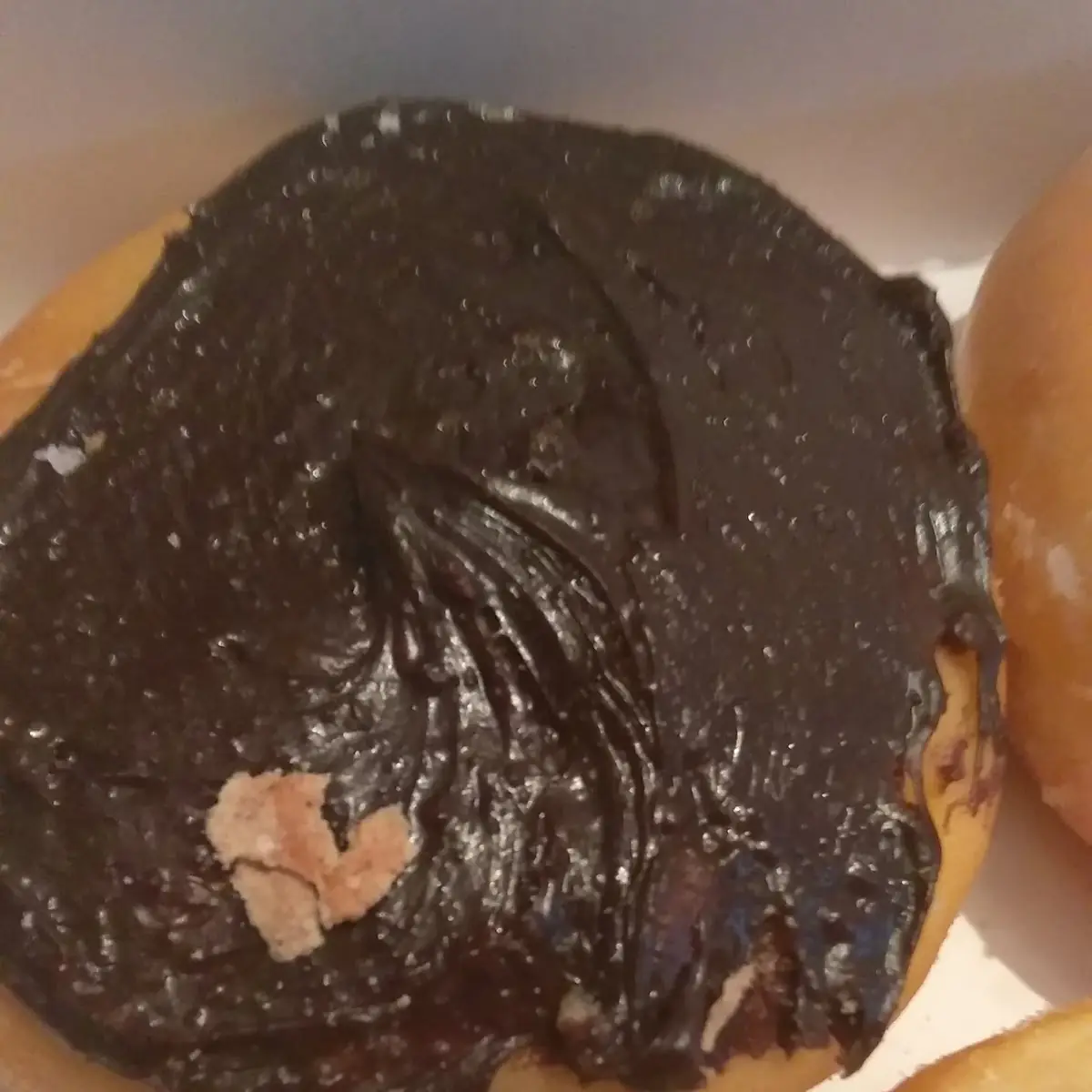 Boston Creme Donuts