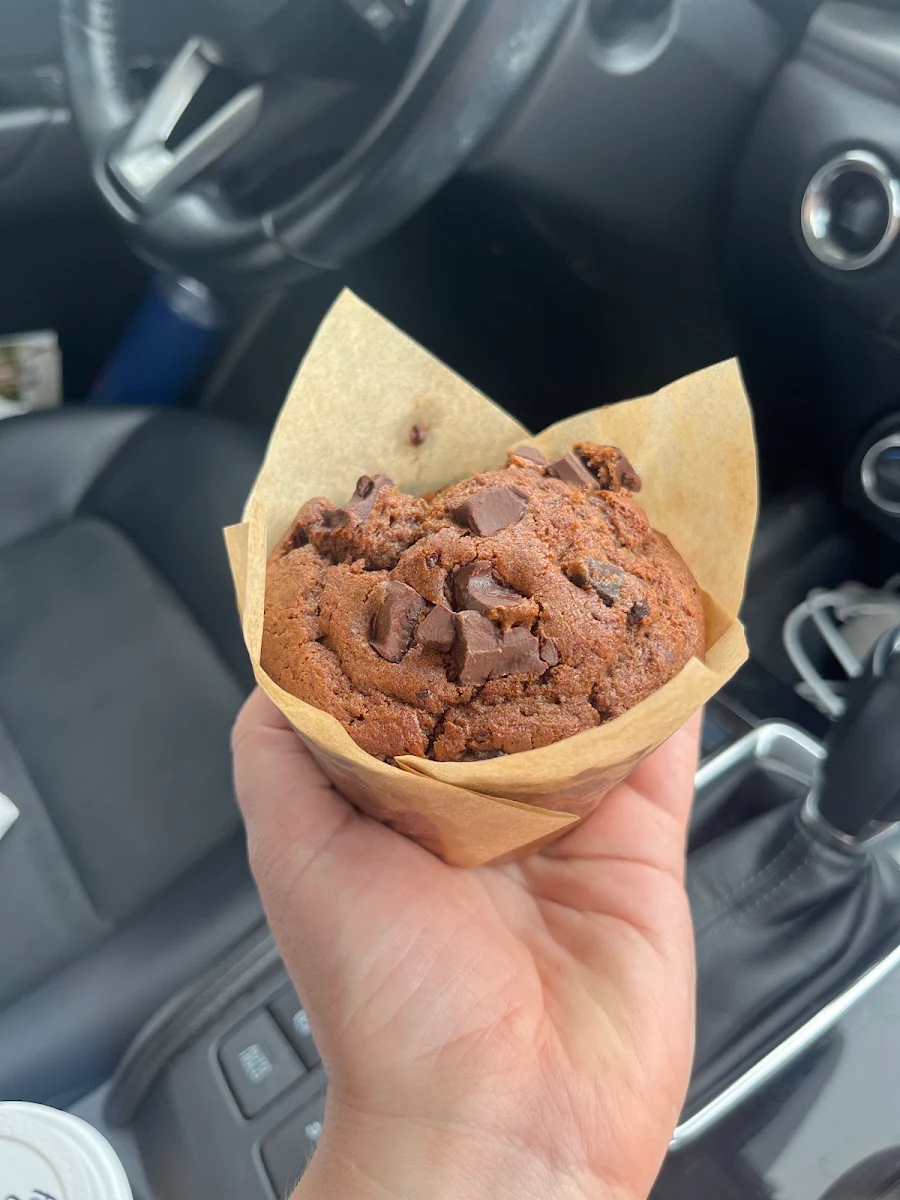 Chocolate Muffin