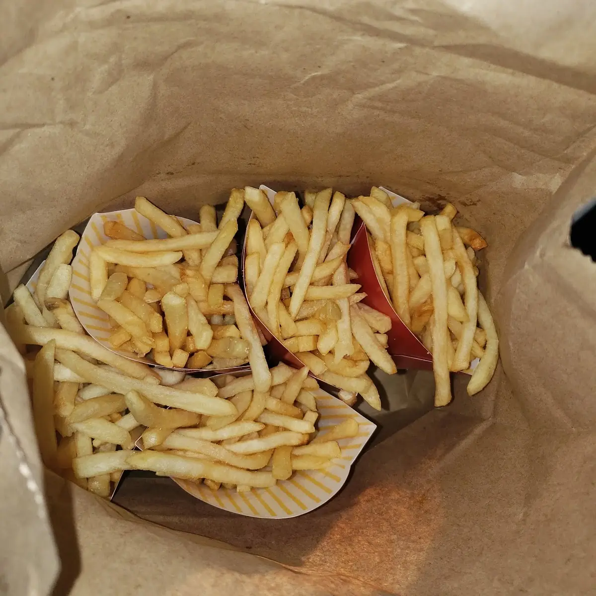 World Famous Fries