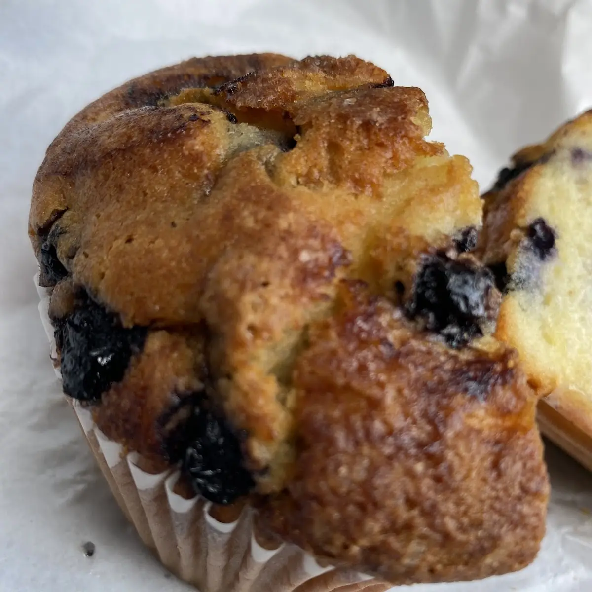 Blueberry Muffin