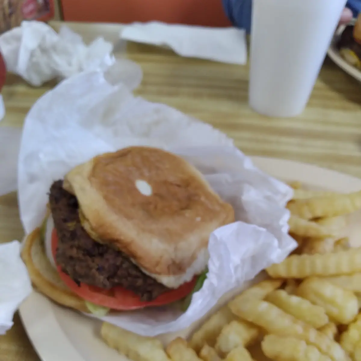 Home Style Burger and Fries