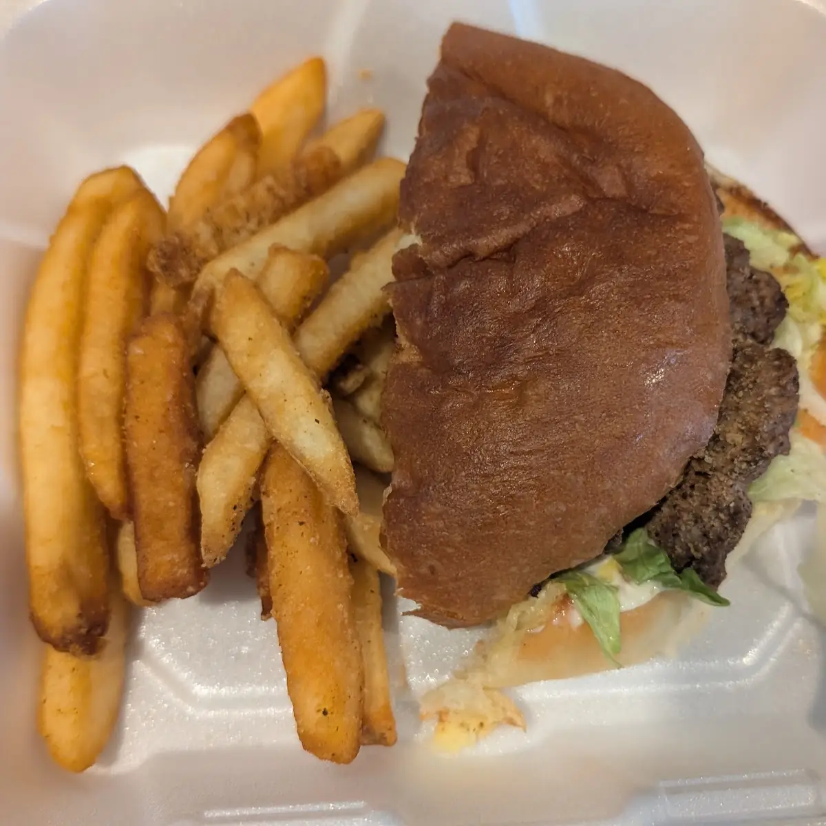 Cheese Burger and Fries