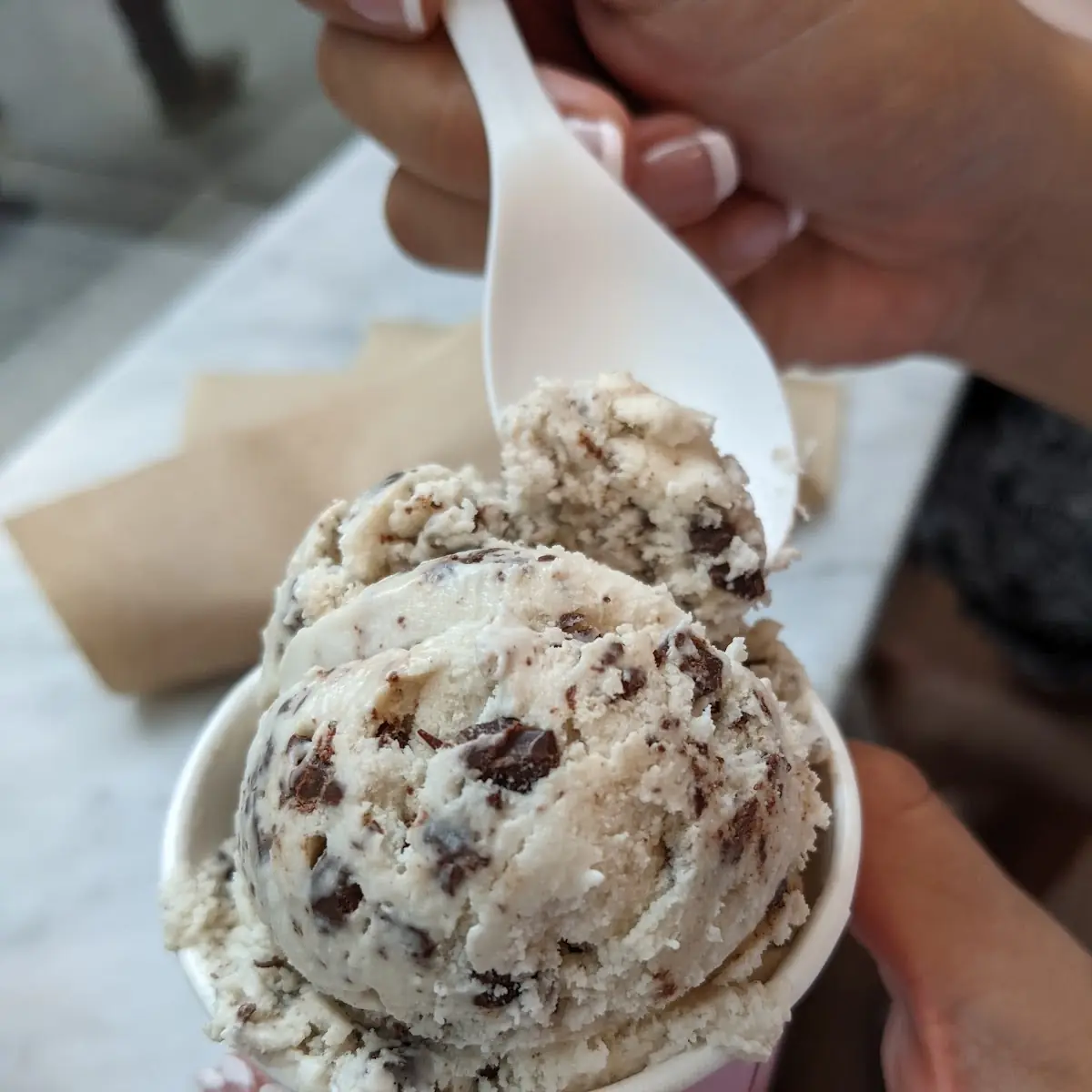 Vegan Mint Chocolate Chip
