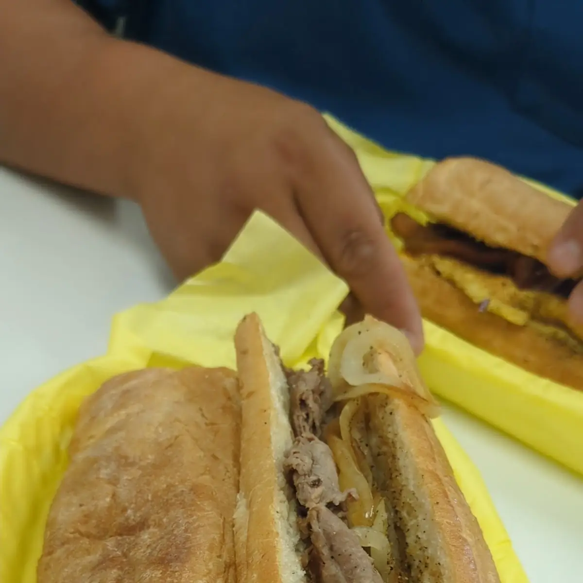 Steak & Grilled Onions Sub