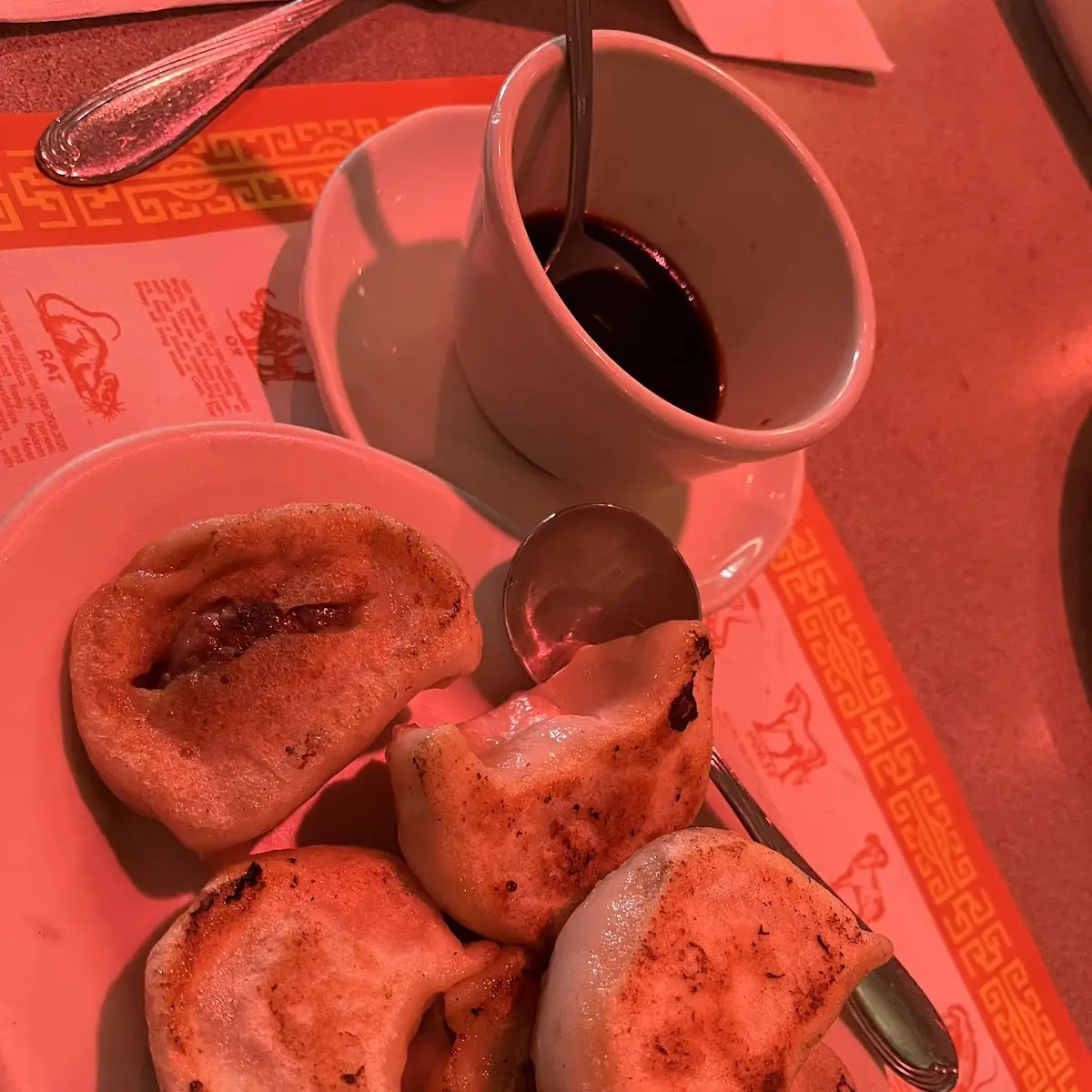 Pan Fried Dumplings
