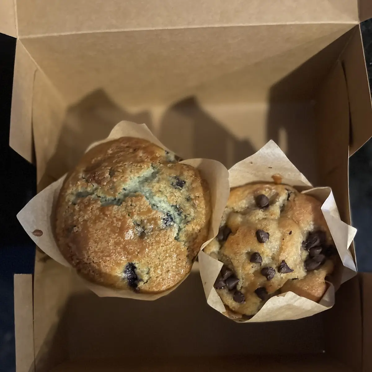 Blueberry Muffin