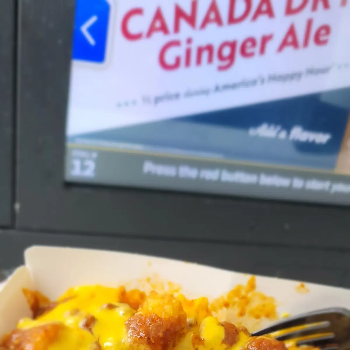 Chili Cheese Fries