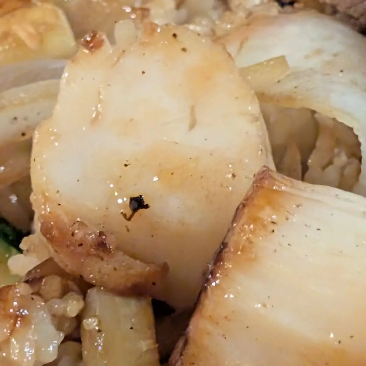 Hibachi Scallops Dinner