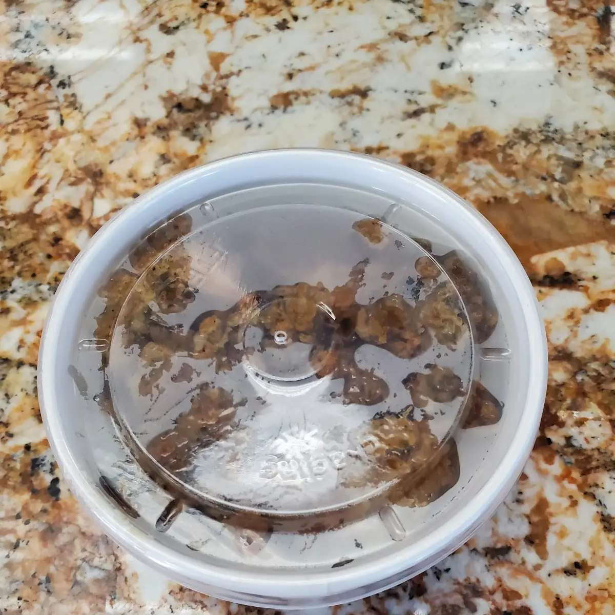 Half Pint of Livers