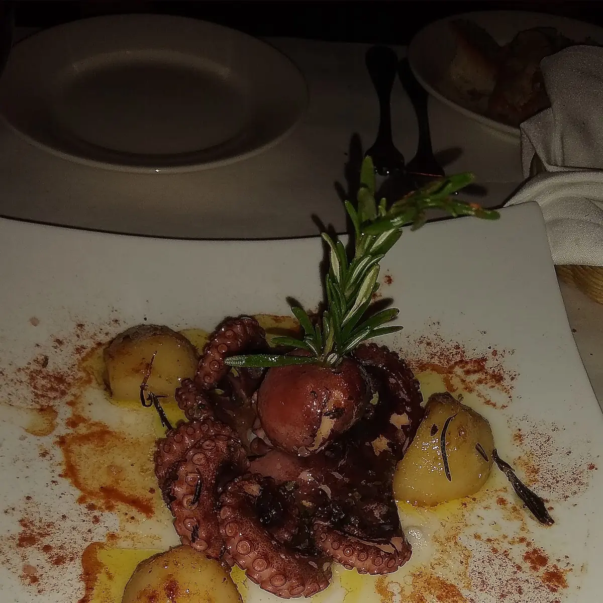 Pulpo Baby Octopus