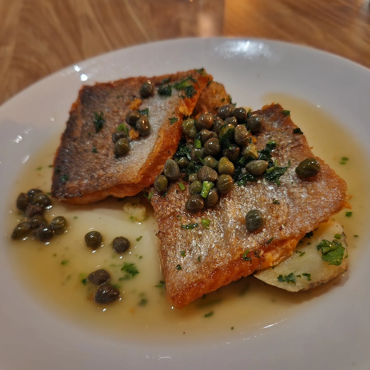 Rainbow Trout