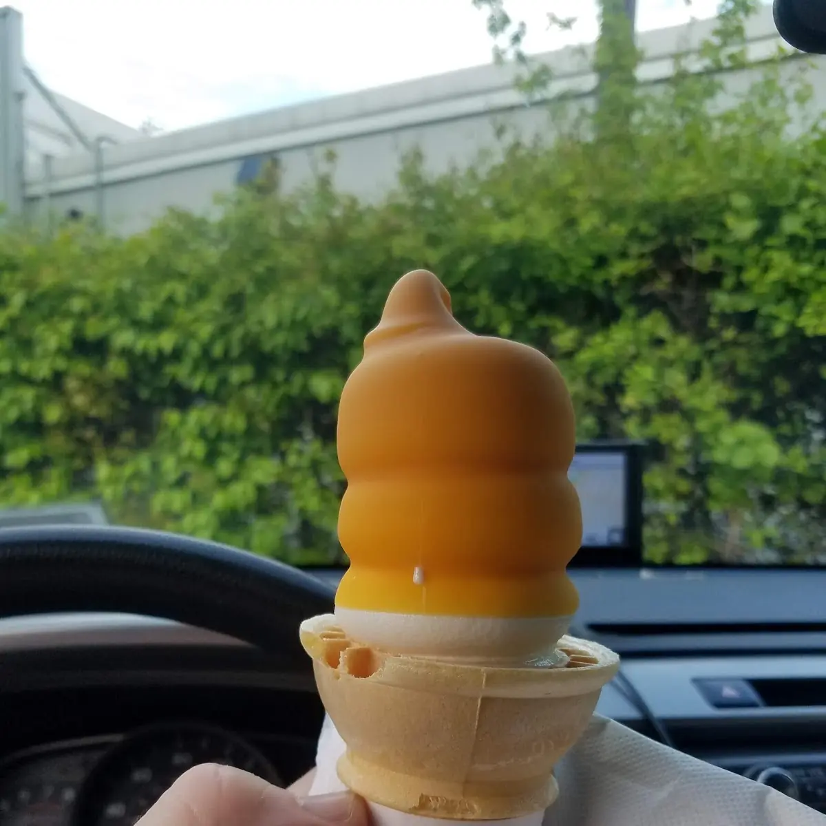 Vanilla Ice Cream Cone
