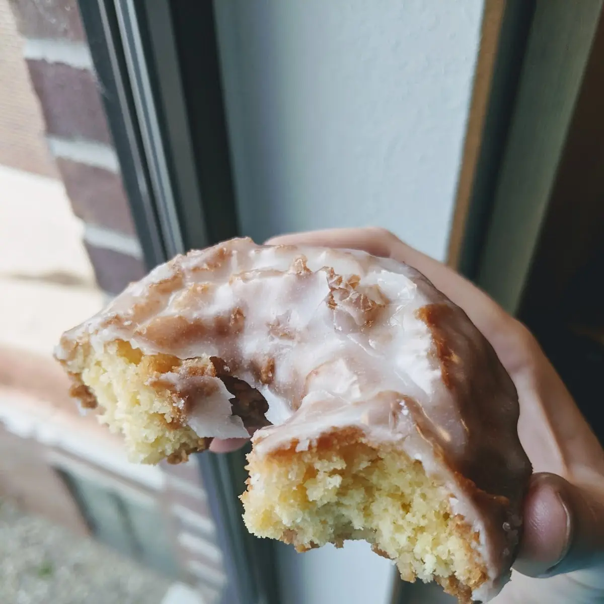 Sour Cream Donuts