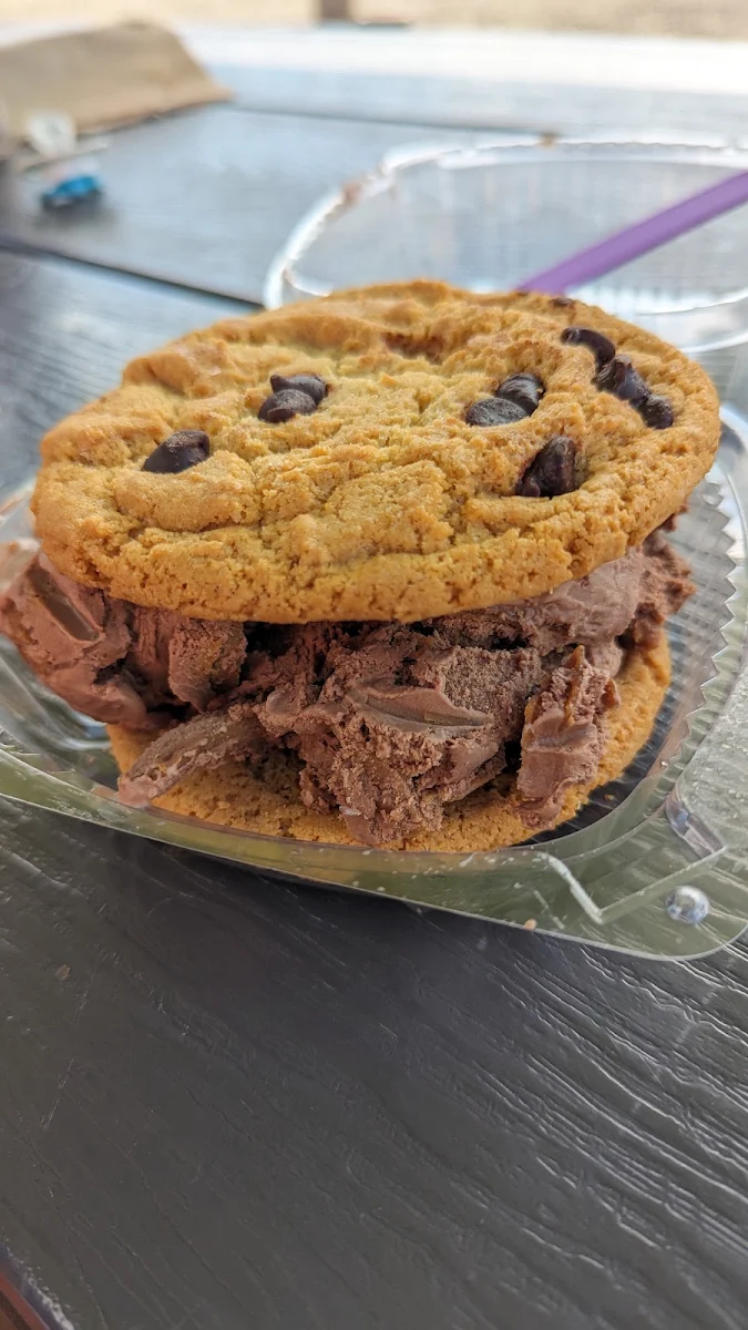 Peanut Butter Chocolate Ice Cream