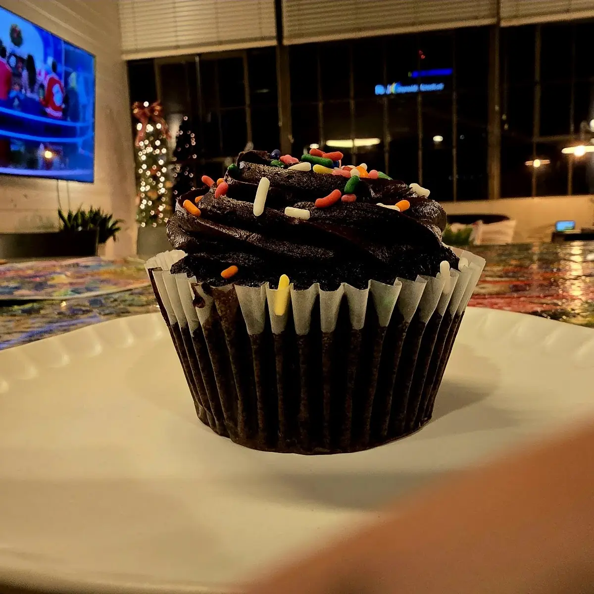 Double Chocolate Cupcake