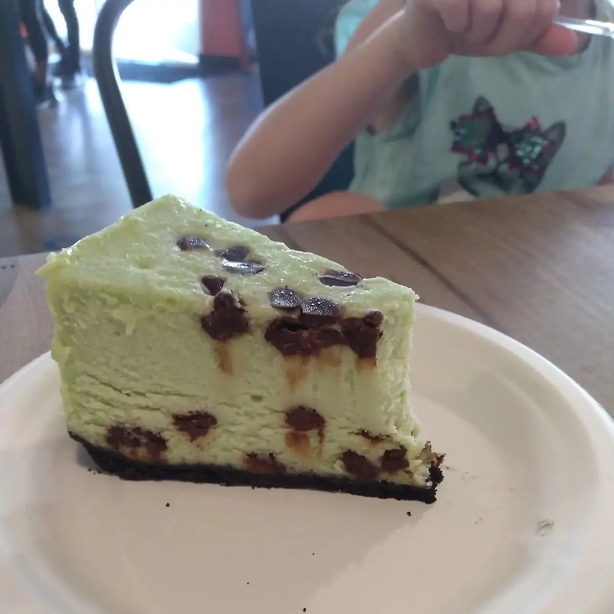 Mint Chocolate Chip Cheese Cake
