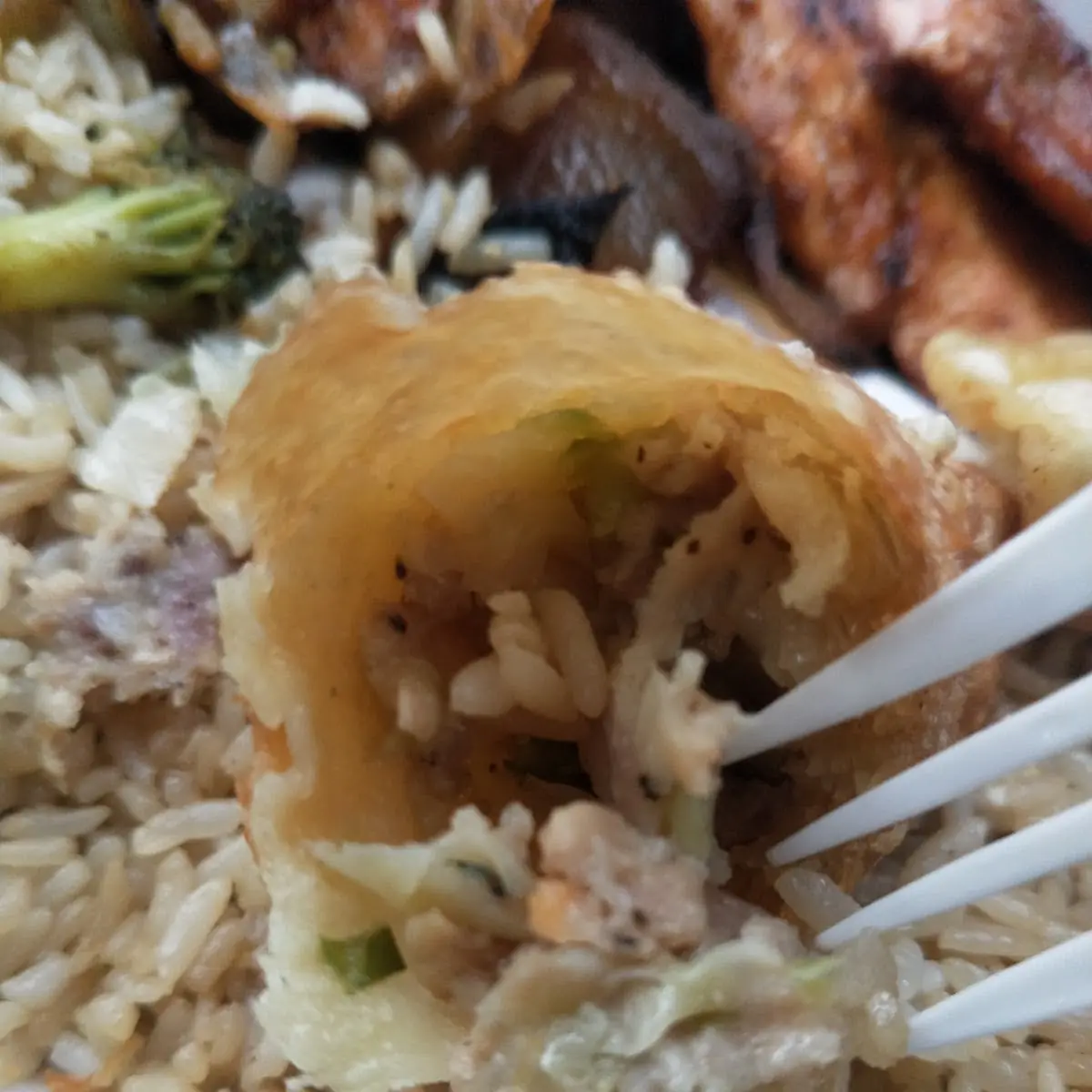 Vegetable Spring Roll 2 pcs
