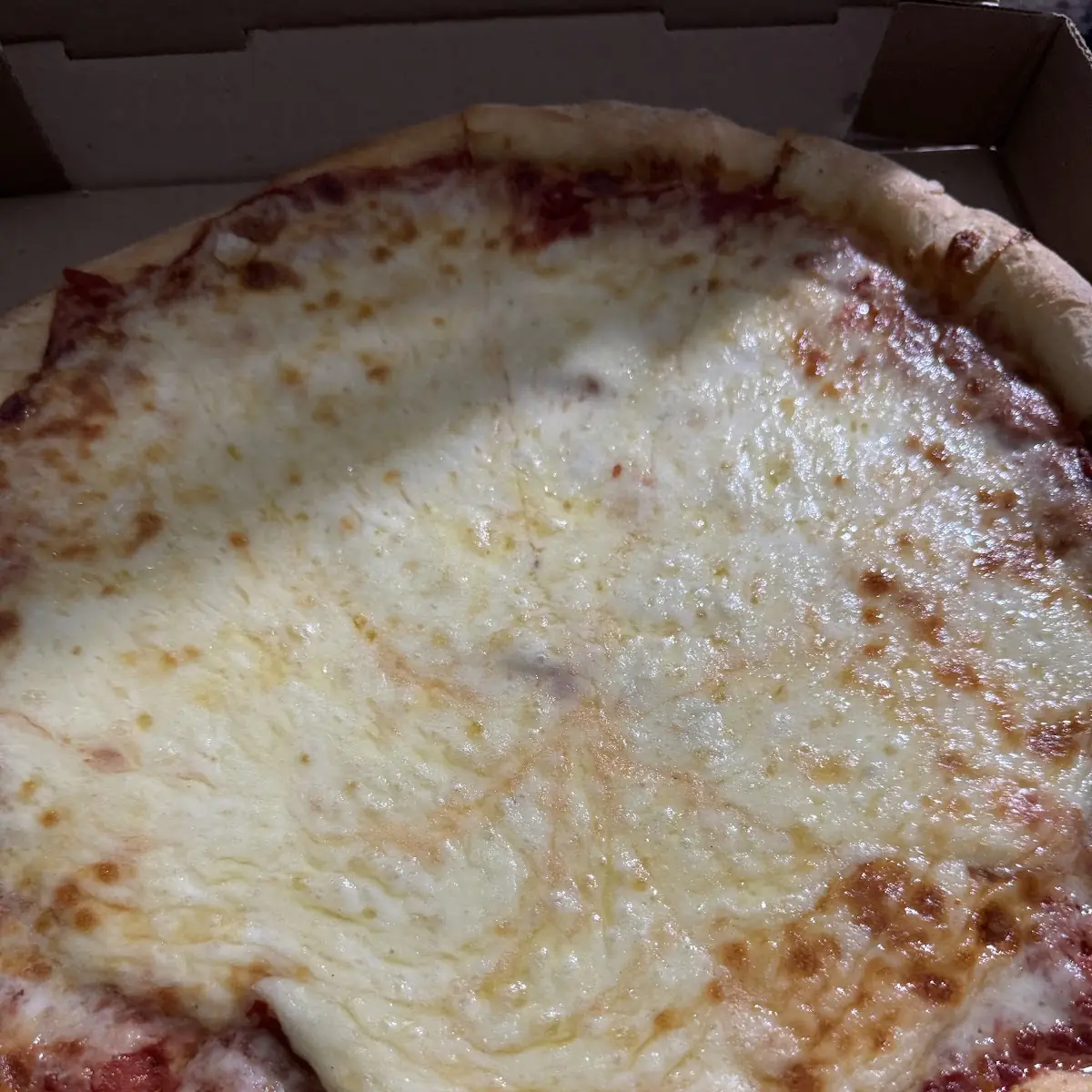 Extra Cheese Pizza