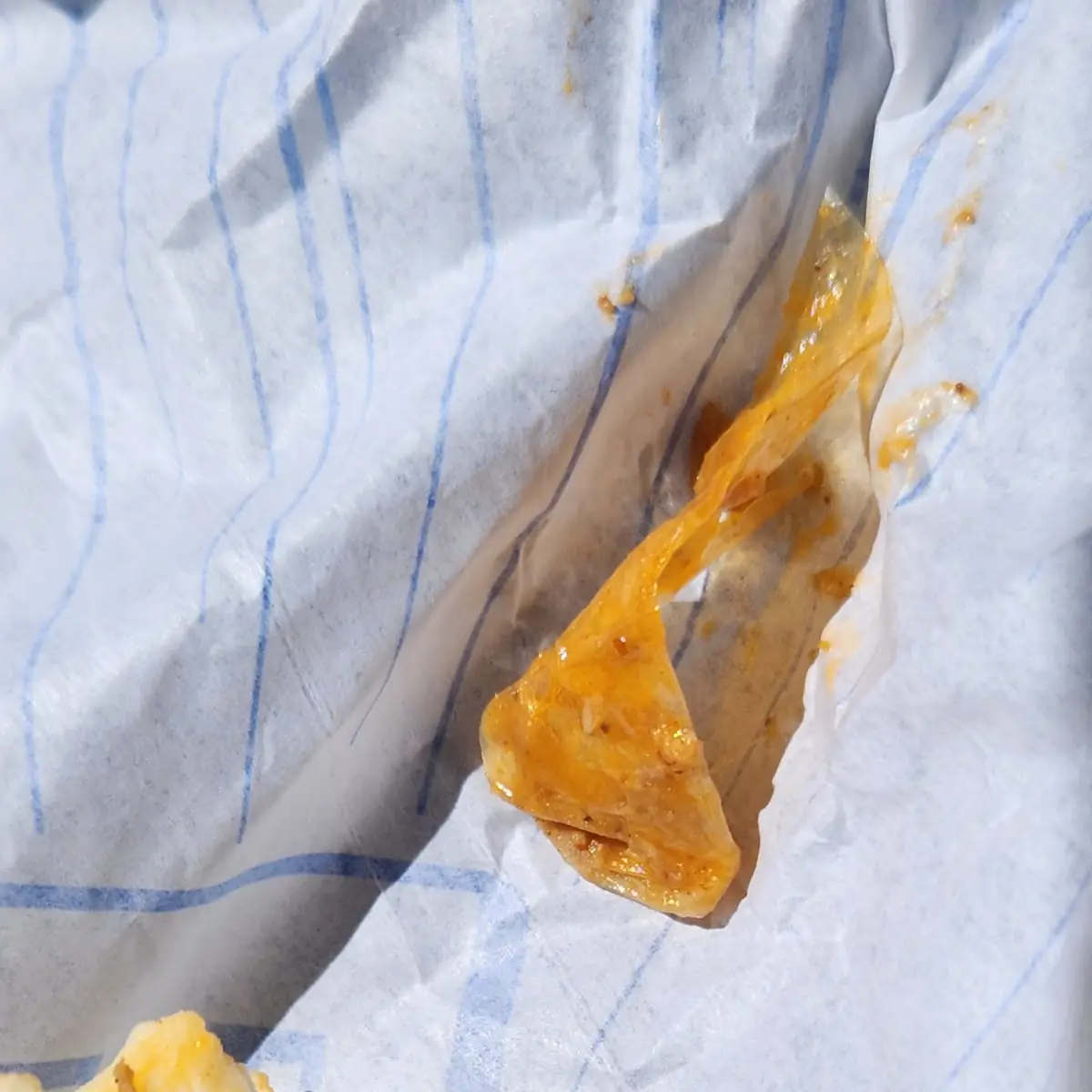 Beef Burrito Complete with Plastic Bag Pieces