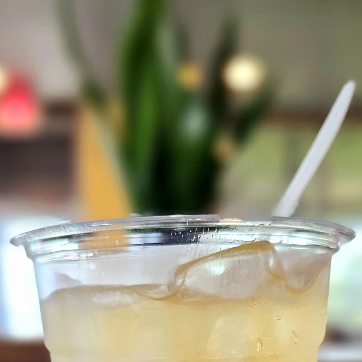 Longan Sweet Tea Sam Bo Luong