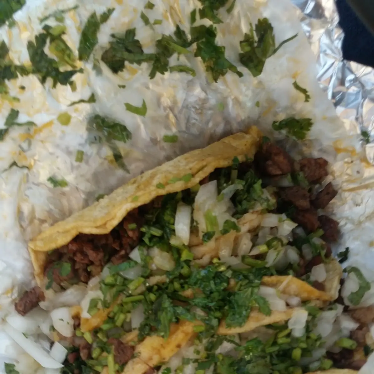 Carne Asada Burrito