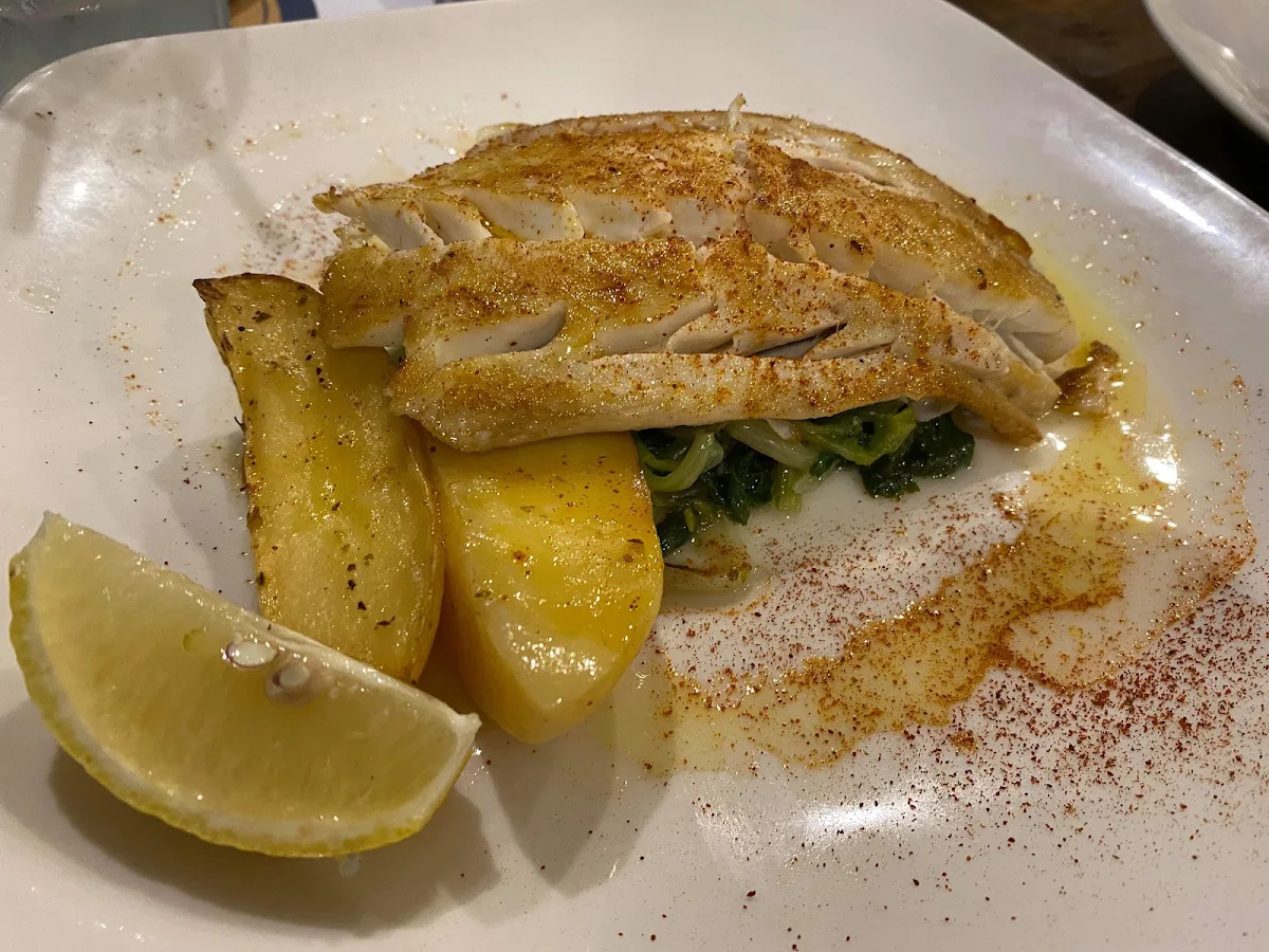 Highlights, ILIOS TAVERNA