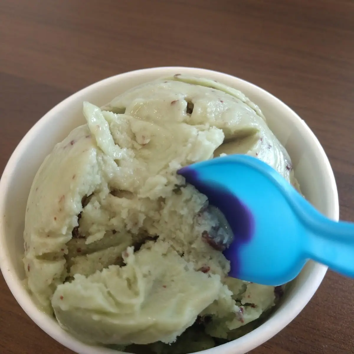 Dairy Free Mint Chocolate Chip