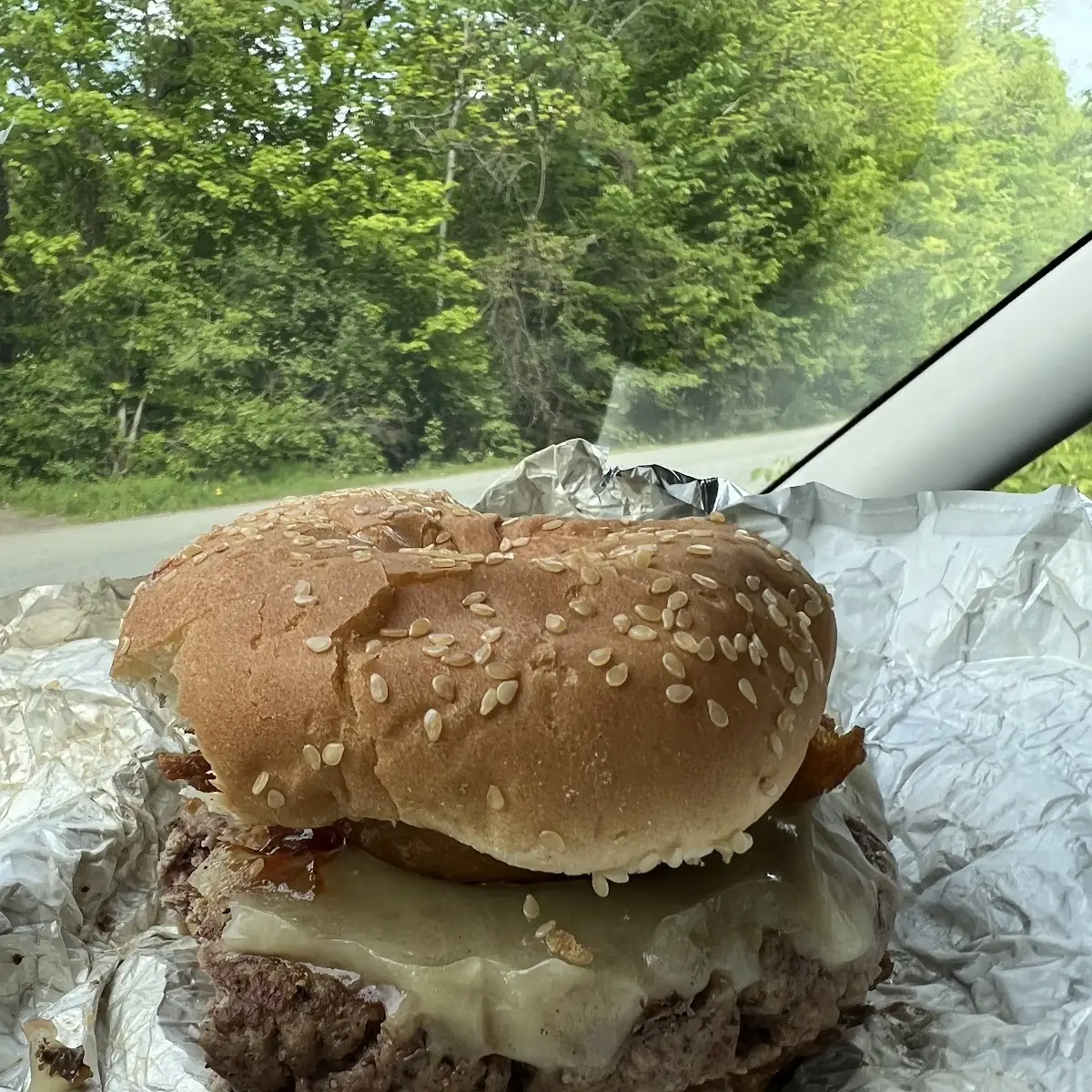Onion Rings and BBQ Sauce