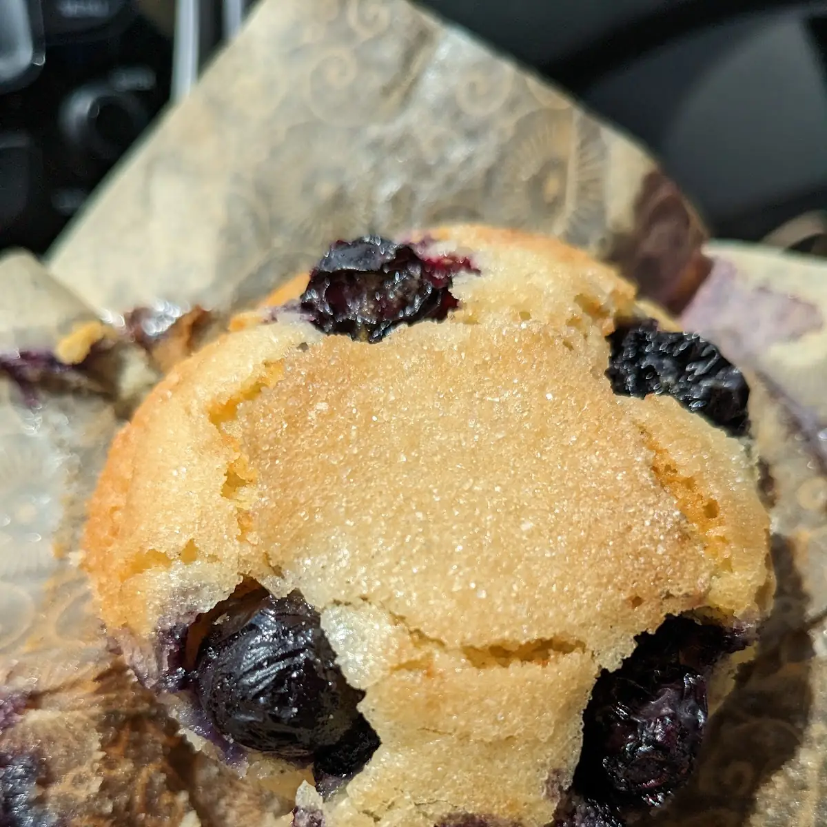 Blueberry Muffin