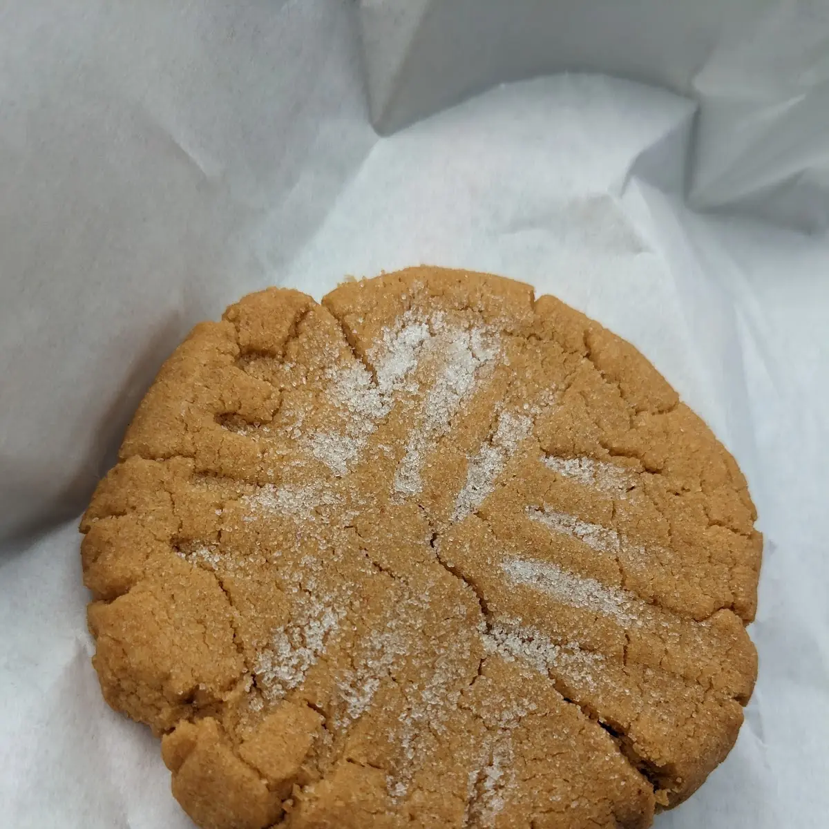Peanut Butter Cookie