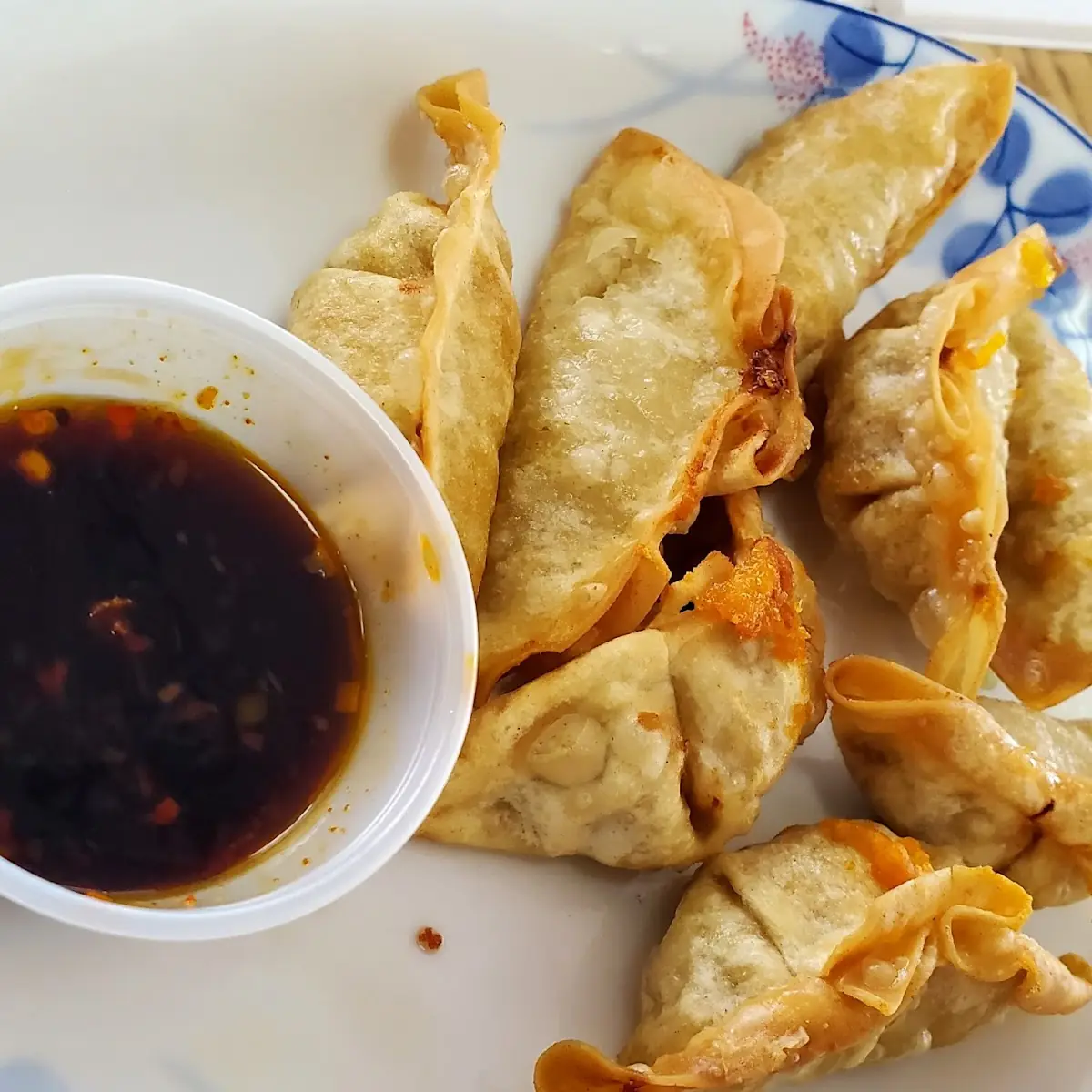 Fried Dumplings
