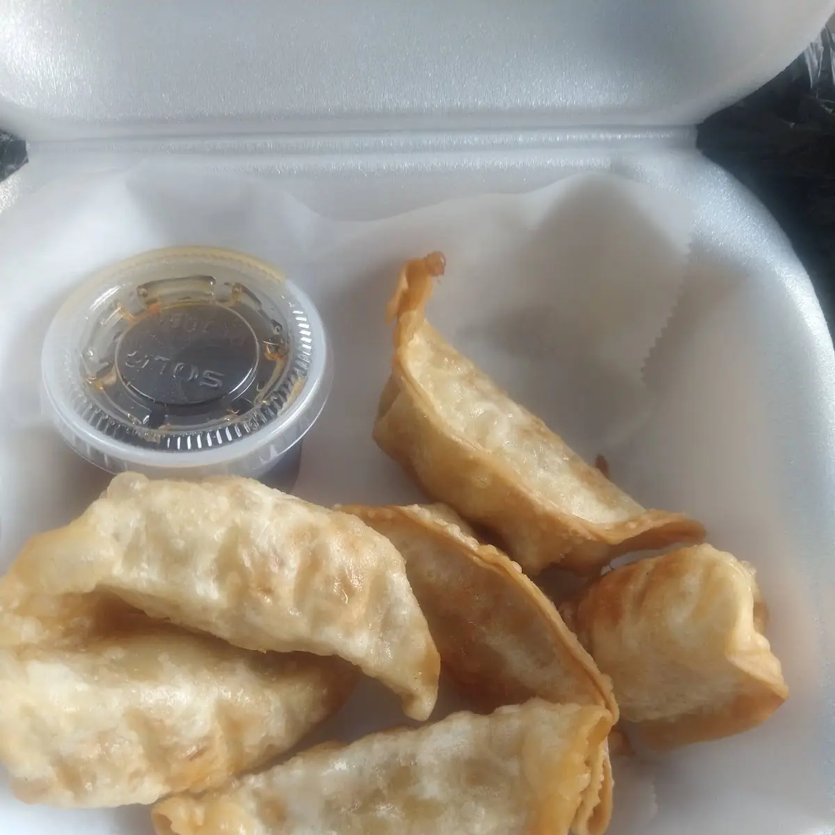 Fried Gyoza