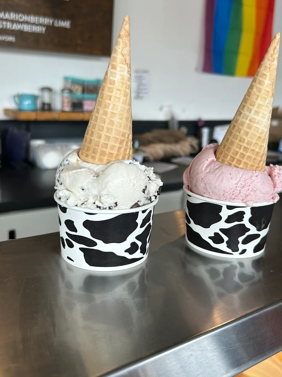 Ice Cream Cone