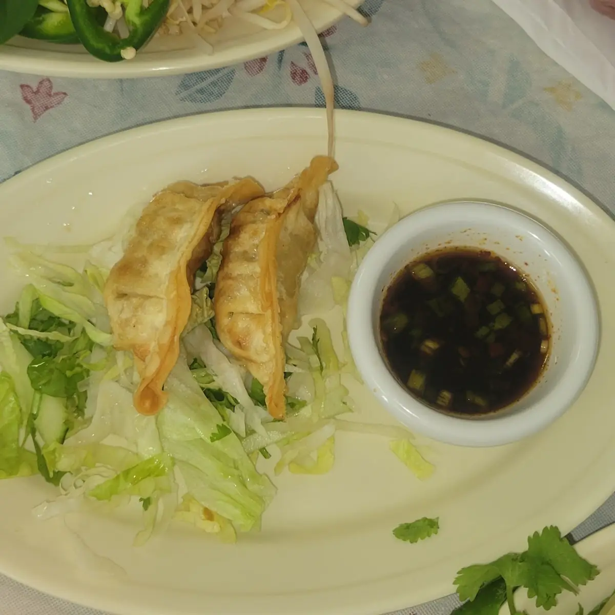 Fried Pork Dumplings (6)