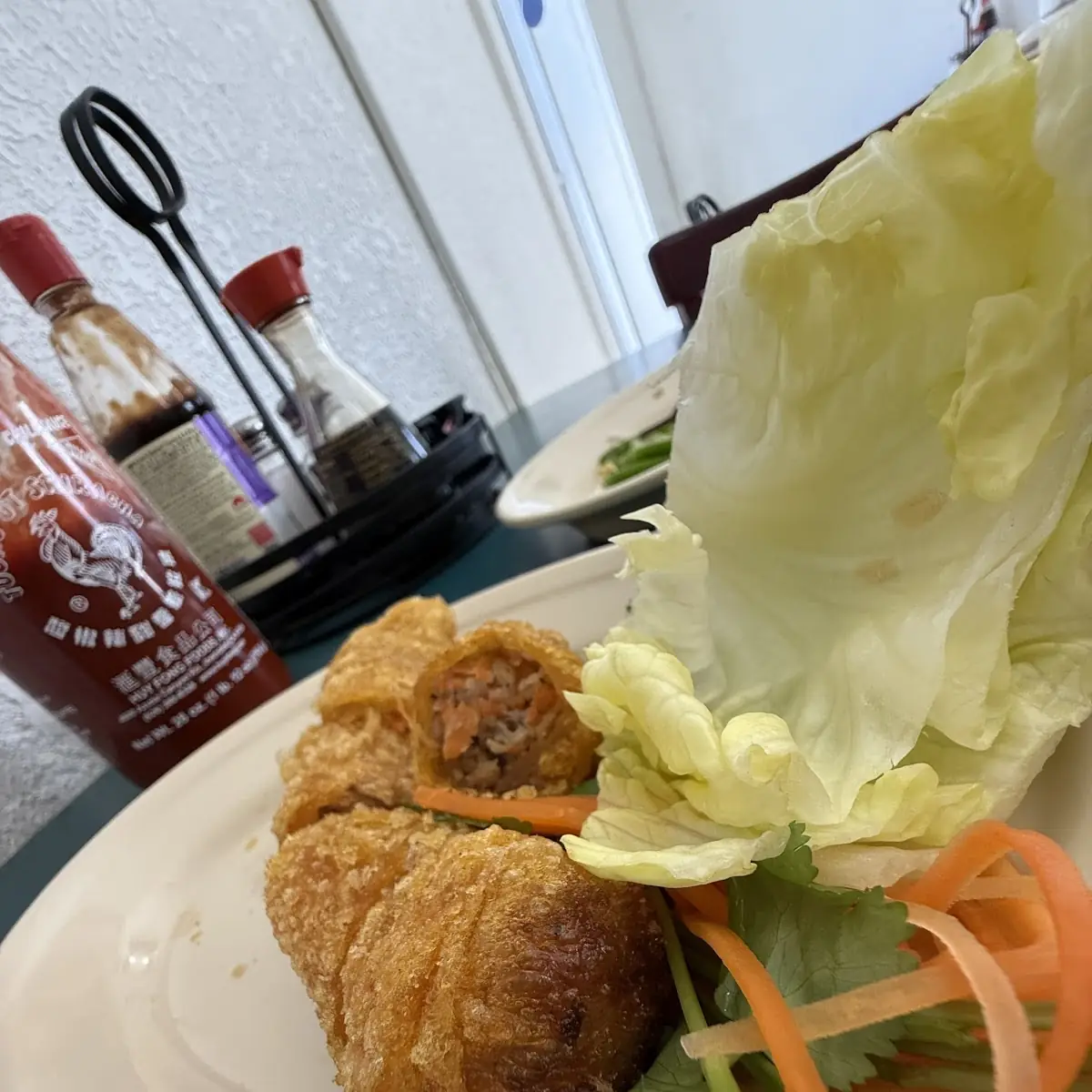Vegetarian Spring Rolls (2)