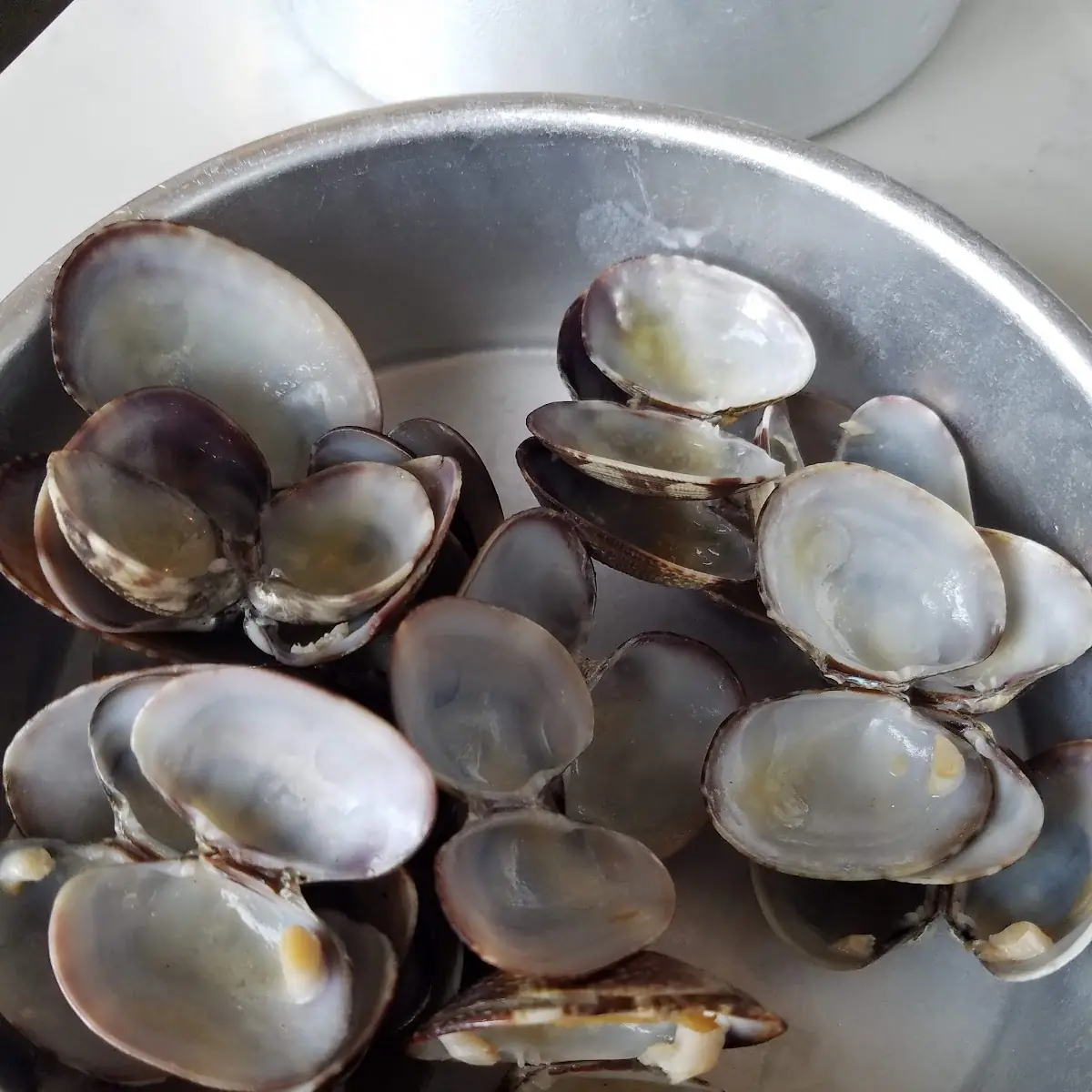 Steamer Clams